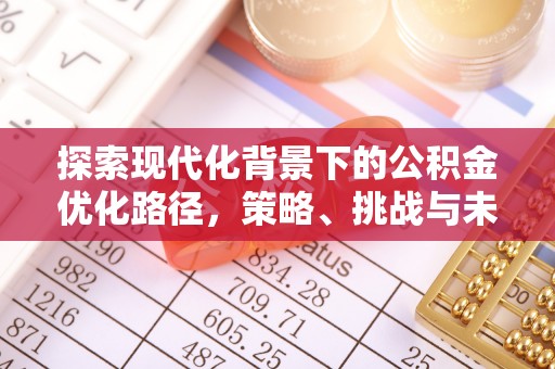 惠山探索现代化背景下的公积金优化路径，策略、挑战与未来展望