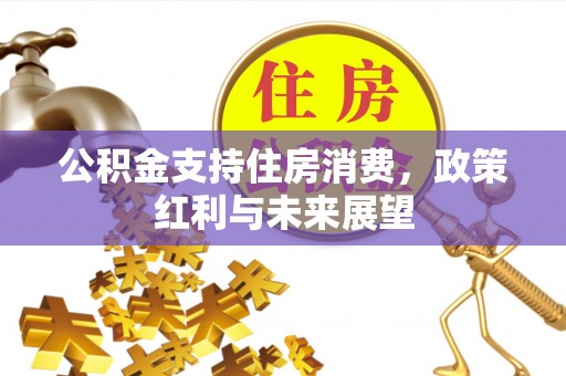 惠山公积金支持住房消费，政策红利与未来展望
